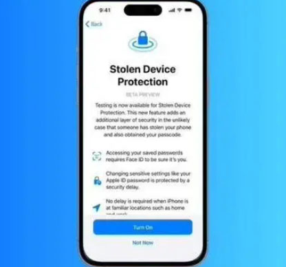 安仁苹果授权维修店分享被盗设备保护功能开启方法 