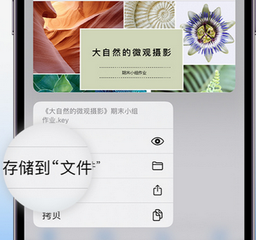 安仁apple维修中心分享iPhone文件应用中存储和找到下载文件