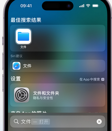 安仁apple维修中心分享iPhone文件应用中存储和找到下载文件 