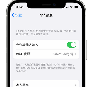 安仁apple服务站点分享iPhone上个人热点丢失了怎么办