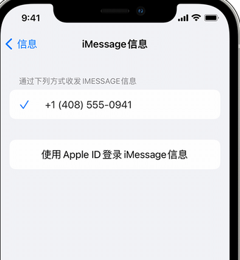 安仁apple维修iPhone上无法正常发送iMessage信息 