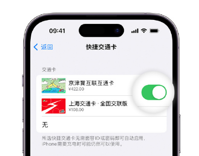 安仁apple维修点分享iPhone上更换Apple Pay快捷交通卡手绘卡面 