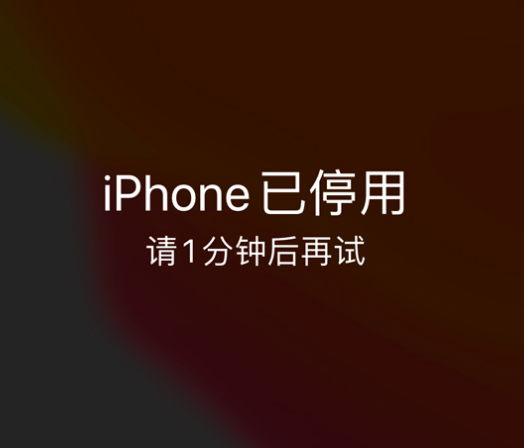 安仁苹果手机维修分享:iPhone 显示“不可用”或“已停用”怎么办？还能保留数据吗？ 