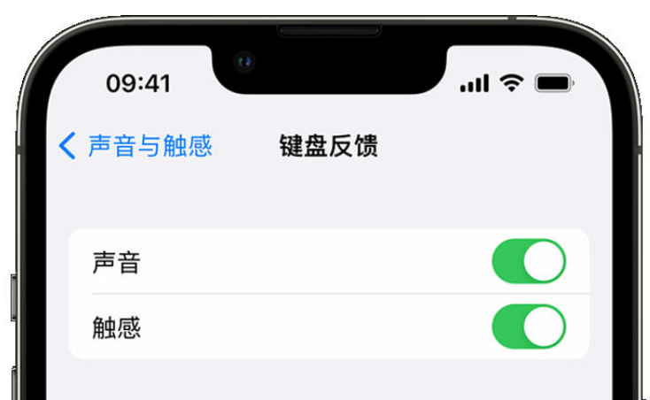 安仁苹果手机维修分享iPhone 14触感键盘使用方法 