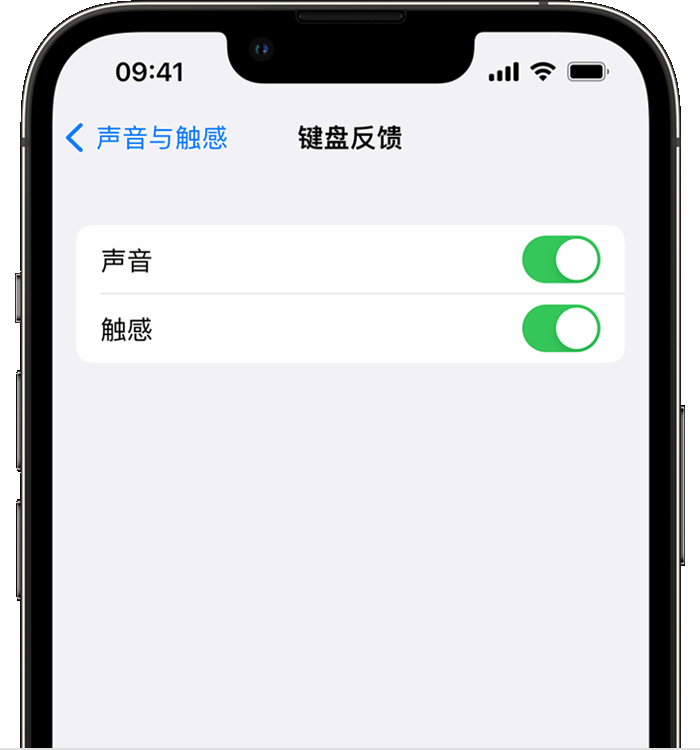 安仁苹果14维修店分享如何在 iPhone 14 机型中使用触感键盘 