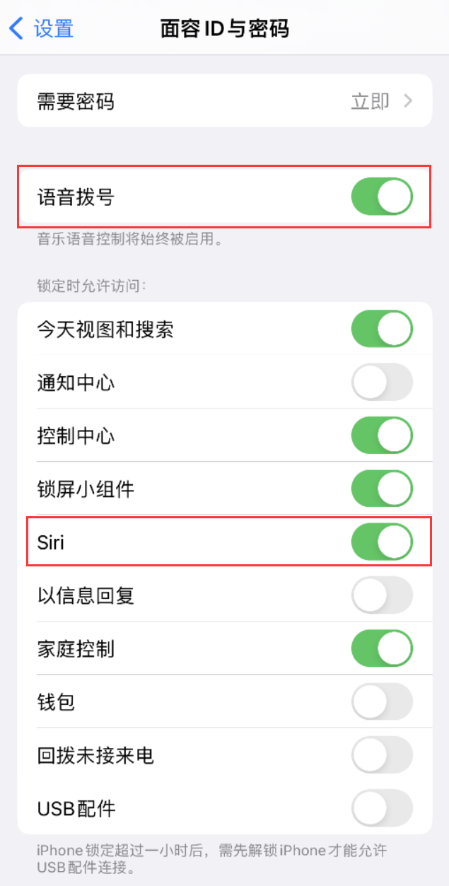 安仁苹果维修网点分享不解锁 iPhone 的情况下通过 Siri 拨打电话的方法 