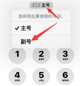 安仁苹果14维修店分享iPhone 14 Pro Max使用副卡打电话的方法 