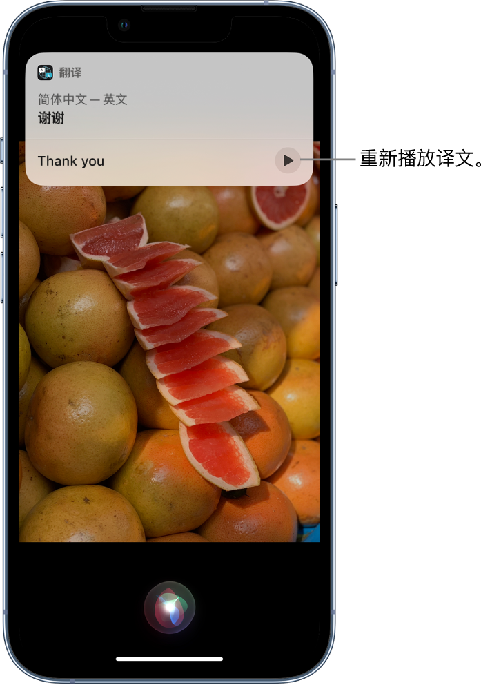 安仁苹果14维修分享 iPhone 14 机型中使用 Siri：了解 Siri 能帮你做什么 