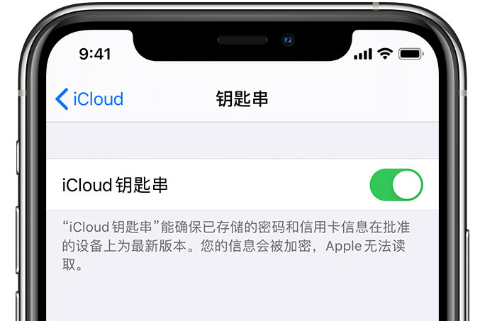 安仁苹果手机维修分享在 iPhone 上开启 iCloud 钥匙串之后会储存哪些信息 