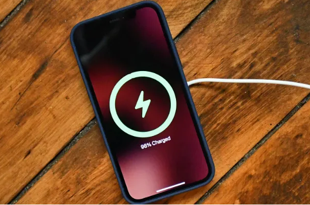 安仁苹果手机维修分享iPhone如何正确充电 
