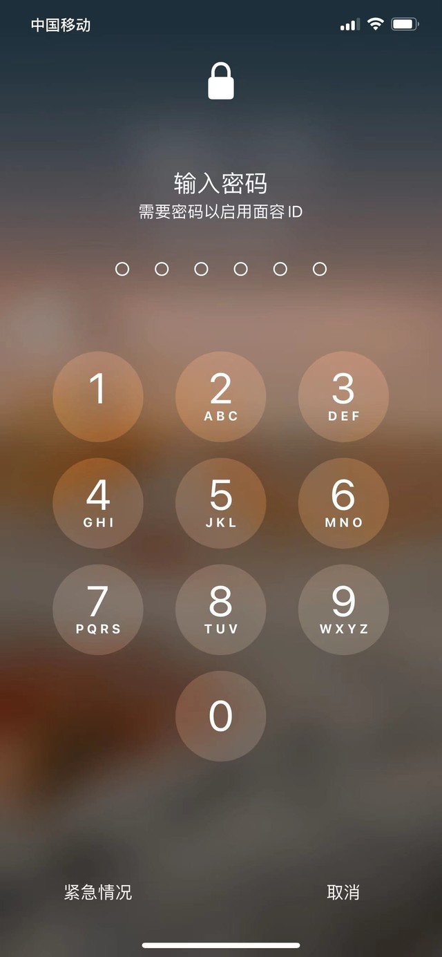 安仁苹果13维修分享iPhone 13加强锁屏功能有什么用 
