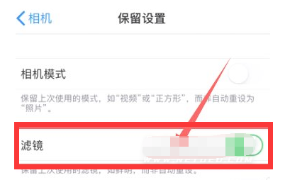 安仁苹果13维修分享iPhone13拍照有绿点是怎么回事 