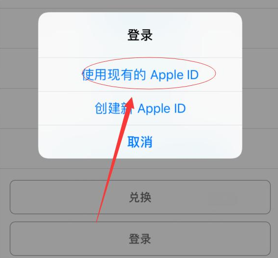 安仁苹果手机维修分享两台iPhone设备可以同时登录一个Apple ID吗 