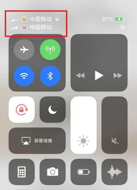 安仁苹果手机维修分享为 iPhone 12 双卡设置标签 