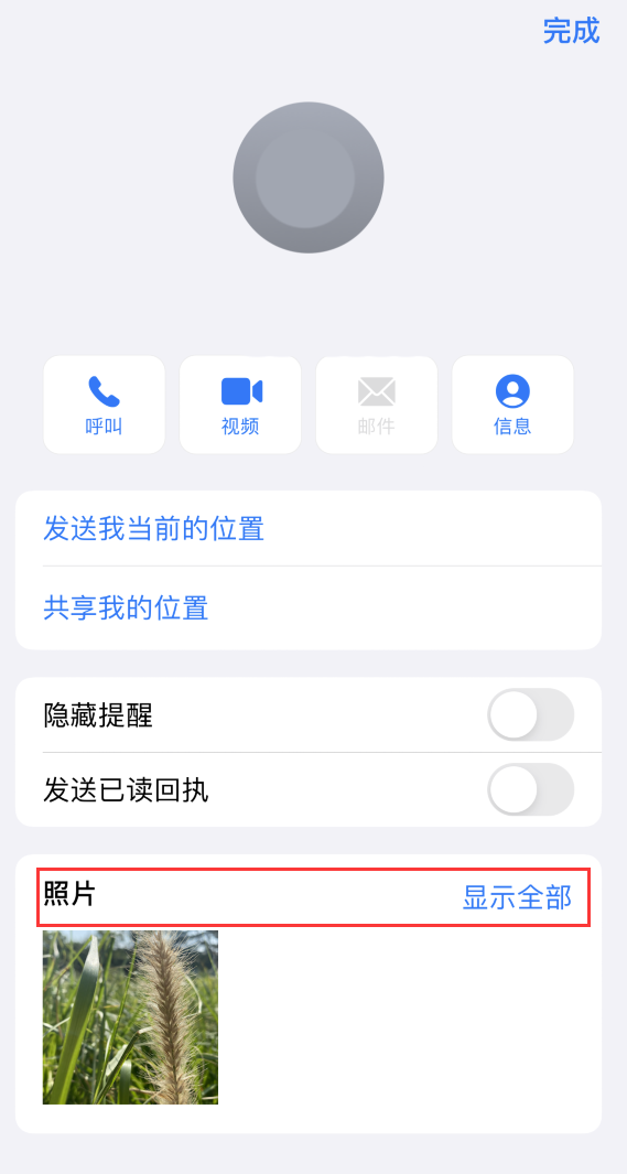 安仁苹果手机维修分享如何快速查找 iMessage 信息中的图片等附件 