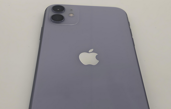 安仁苹果11系统维修分享iPhone11手机系统崩溃无法开机如何解决 