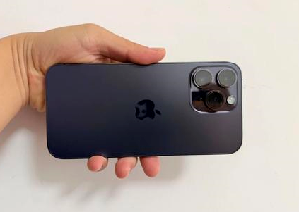 安仁苹果维修点分享iPhone 14 Pro Max黑屏少见故障盘点 